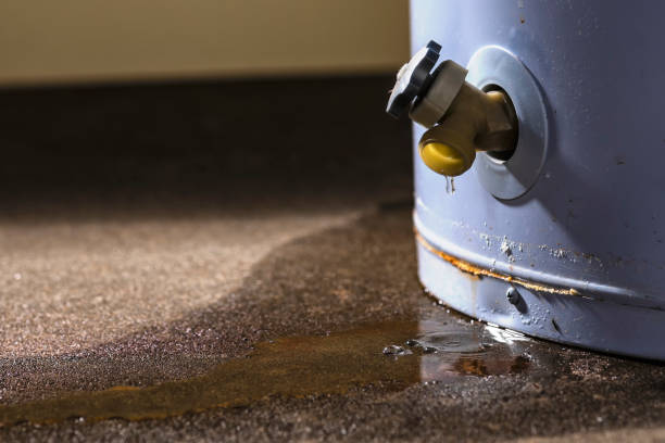 Reliable Kings Park West, VA Water damage restoration Solutions