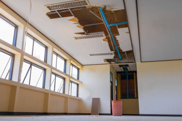 Local water damage restoration in Kings Park West, VA
